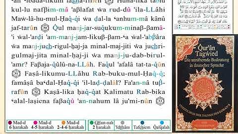 ختمة من مصحف التجويد باللغة الألمانية الصفحة رقم 212