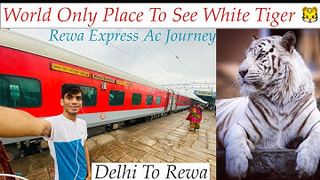 12428 Anand Vihar Terminal- Rewa Sf Express || Rewa Express AC Journey