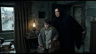 What If Snape's Legilimency Accidentally Saw Dursley Abuse Year 1 & He Kidnap Harry From Dumbledore
