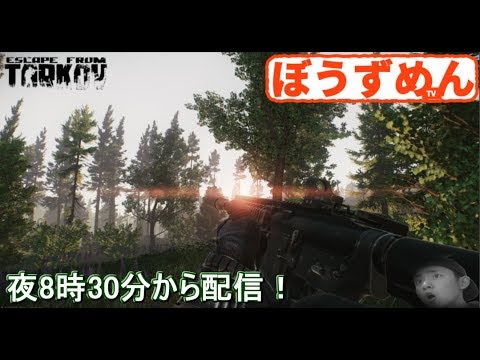 オープンb Escape From Tarkov ソロプレイで分隊倒してこ Youtube