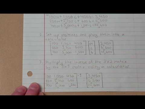 Solving a word problem with a 3x3 matrix.