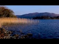 Relaxing lake waves nature sounds ambience  lake water lapping sound  birds singing for sleeping