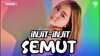 DANGDUT ENAK || INJIT INJIT SEMUT || REMIX TERBARU 2024