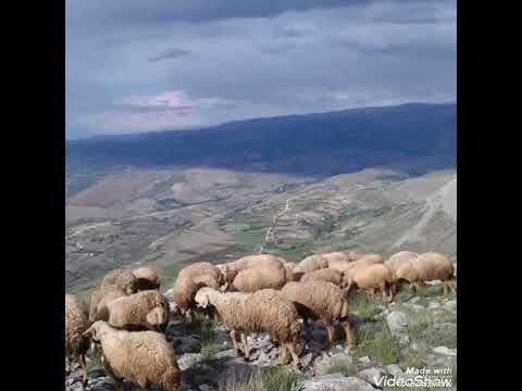 YIKILASI ŞU YALANCI DÜNYADA.