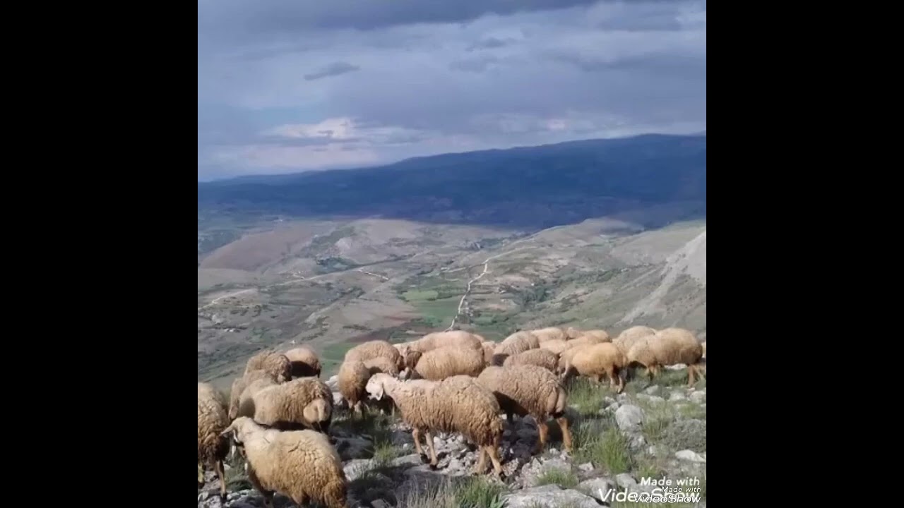 YIKILASI ŞU YALANCI DÜNYADA.