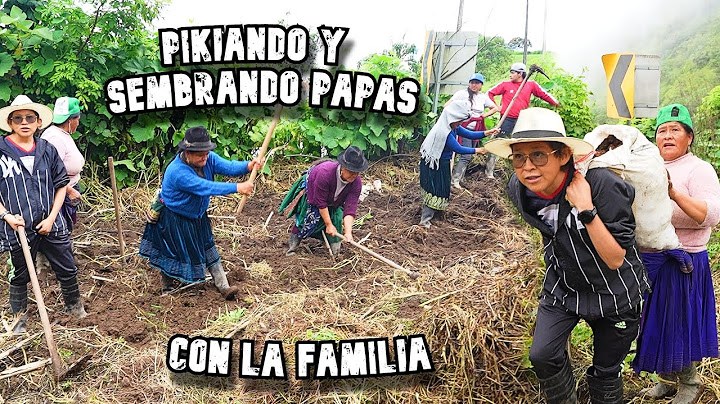 SEMBRANDO PAPAS CON EL NUEVO INTEGRANTE DE LA FAMILY | Memito Castro