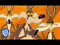 Looney tunes  wile e coyote genius extraordinaire  30 minutes