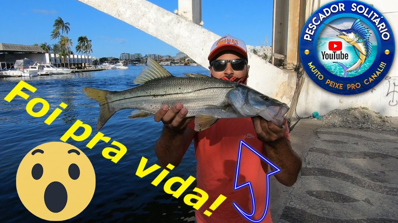 MUITO ROBALO NO CANAL DE CABO FRIO! CAPTURAS e SOLTURAS! NESSA PESCARIA SÓ ROBALO MONSTRO!