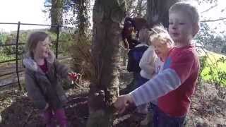 Early Years Forest School