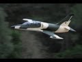 L-39 ALBATROSS Hobbytopgun