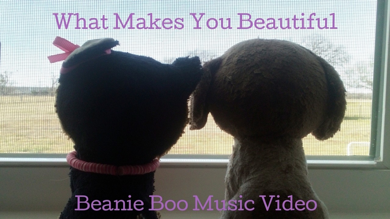 What Makes You Beautiful (BBMV)