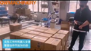 Industrial Robotics Palletizers Systems/Cobot Pallertising Solutions