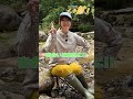 日本のあちこちイッテ鉱！第7回は10/8配信予定💎｜ #瑠璃の宝石 #根本京里 #林咲紀 #rurirocks #rurinohouseki #夏アニメ2025 #anime #shorts