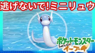 ついにやっと 悲願のミニリュウがきたー ポケモンlet Sgo イーブイ Youtube