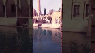 Şanlıurfa Balıklı Göl