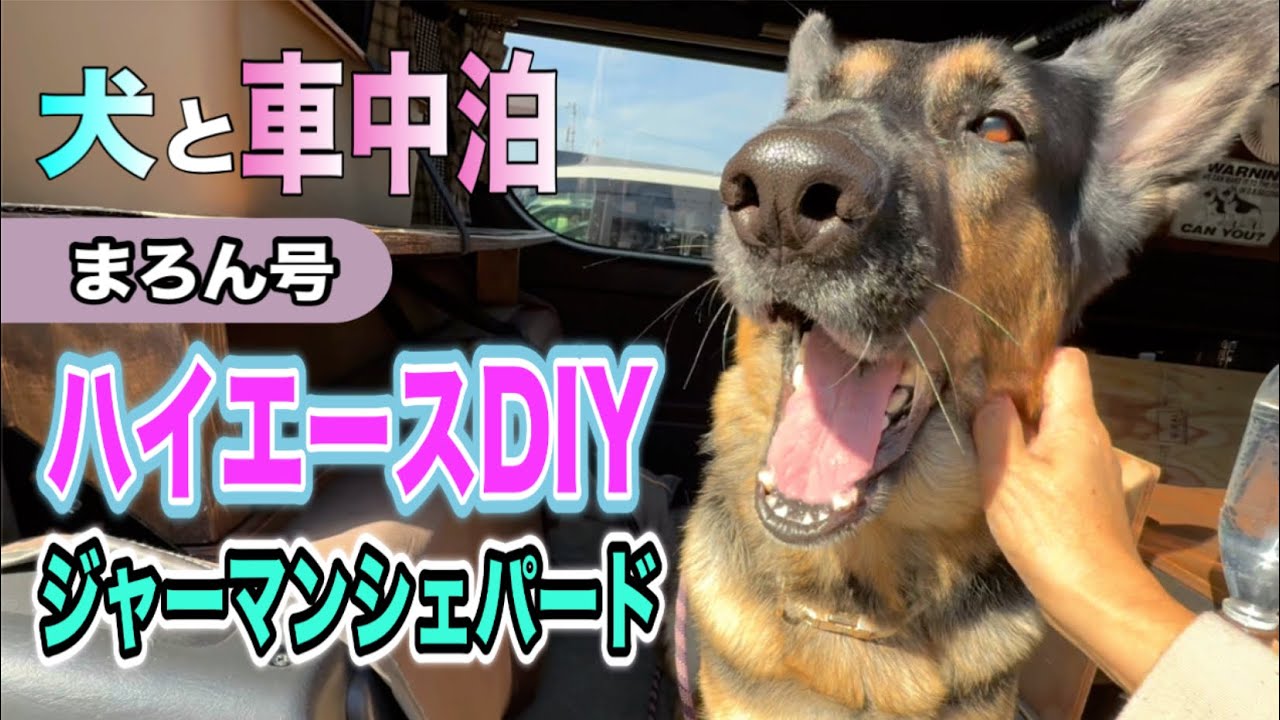大型犬と車中泊するハイエース🐶🐶👦新たにDIY❣️さぁこれで準備OK【ジャーマンシェパード】