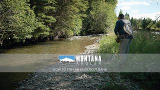 How To Fish An Undercut Bank