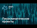 Как России достичь углеродной нейтральности? Лесоклиматические проекты. Декарбонизация.