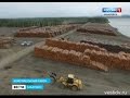 Вести-Хабаровск. Лесозаготовка в Комсомольском районе