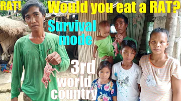 Can humans eat raw rat?