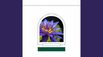 Incredible Backdrops for Chill Afternoons