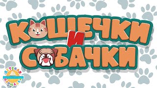 КОШЕЧКИ и СОБАЧКИ 🐱 🐶 ДОБРЫЕ И ВЕСЕЛЫЕ ПЕСЕНКИ О КОШЕЧКАХ И СОБАЧКАХ 0+