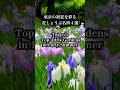東京の初夏を彩る花しょうぶ名所４選 Tokyo’s.Top 4 Iris Gardens in Early Summer 東京観光 梅雨 #花菖蒲#東京観光#IrisGardens