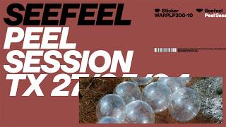 Seefeel - Rough For Radio (Peel Session 1994)