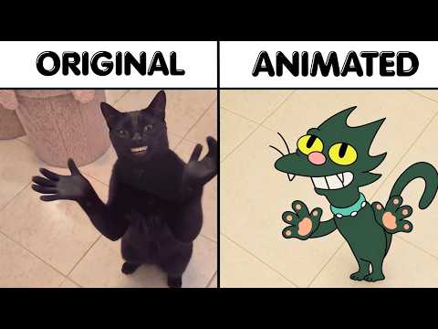Cat Clapping Hand Original vs Meme