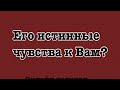 Истинные чувства мужчины к вам? Онлайн-расклад на Таро #акция #миртаро #раскладнатаро