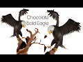 Chocolate Bald Eagle!