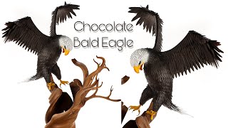 Chocolate Bald Eagle!