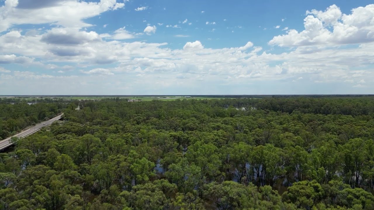 Robinvale Floodwater