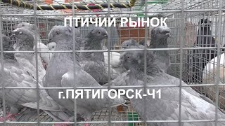 11.10.20. Poultry market in Pyatigorsk - h1