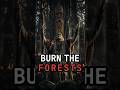 The Forests They Tried To Erase