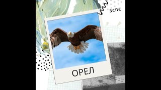Притча. Зміни своє життя сьогодні.