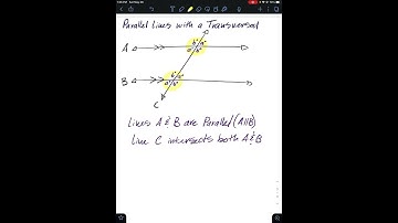 Parallel Lines with a Transversal