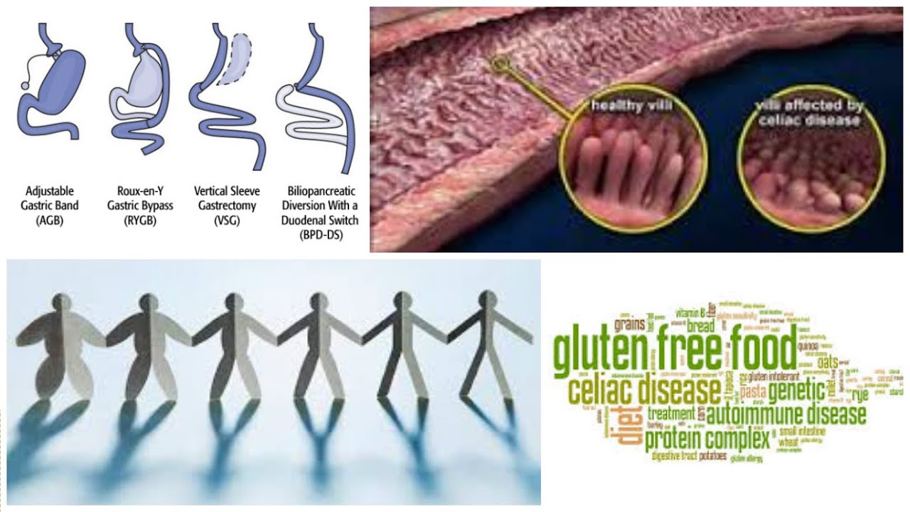 The secret fat burner pills image 3