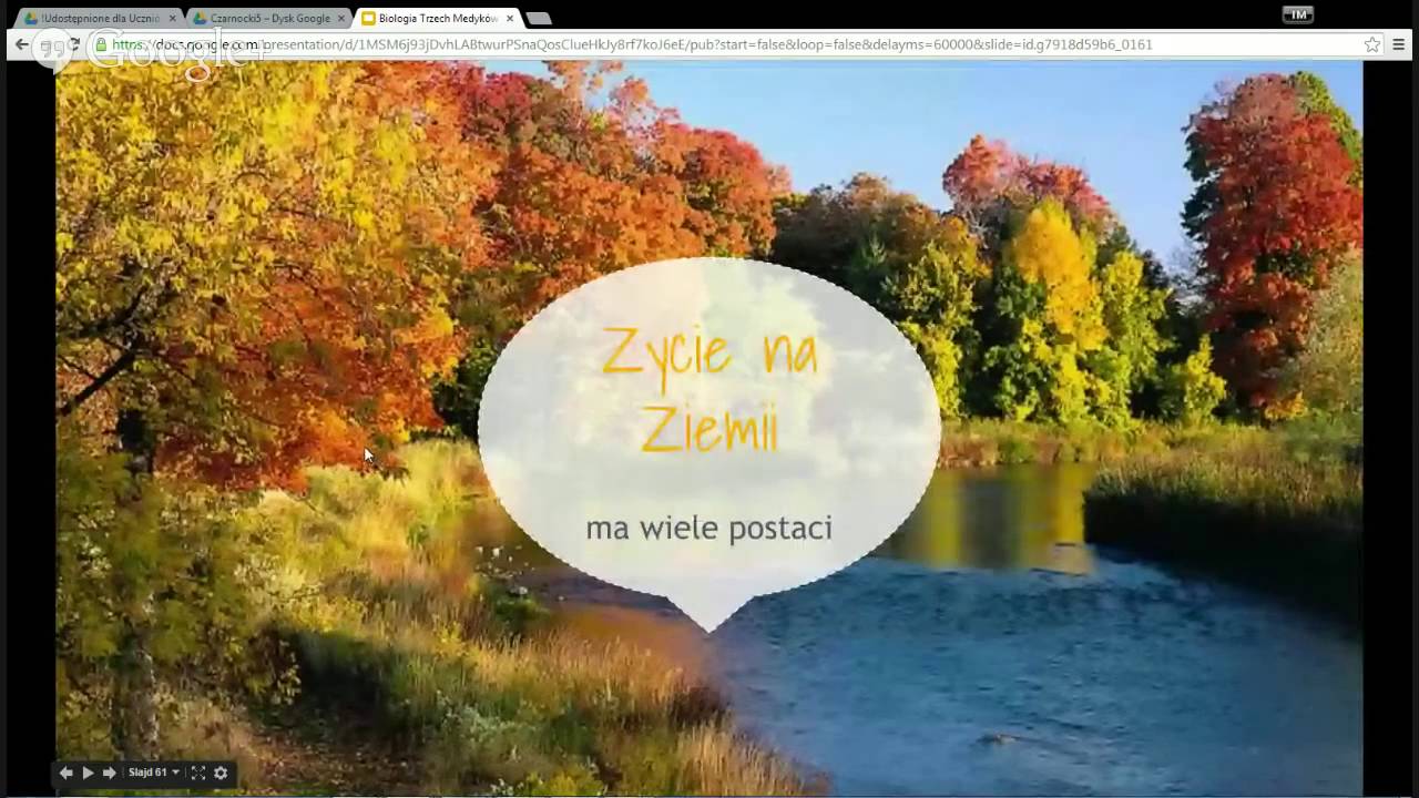 Korepetycje za Darmo u Dominika Biologia 16 Ekologia i … — Transcript