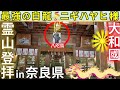 ⚠️解説付き 凄いエネルギーを放つ神社 呪術師の祖神“ニギハヤヒ様”と元伊勢の中の元伊勢“等彌（とみ）神社” 奈良県 桜井市