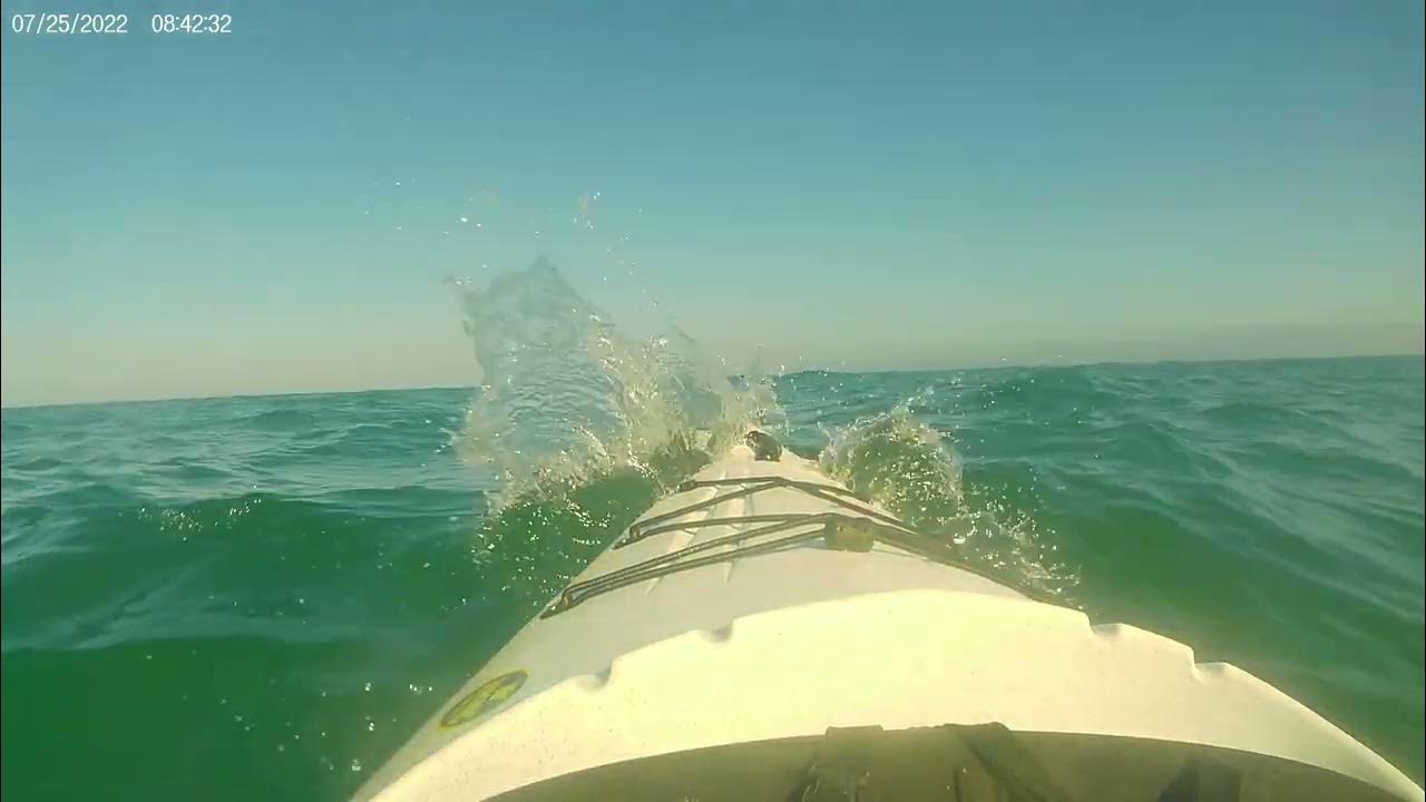 Ocean Kayaking, Trolling Octopus and Squid, Viking Kayaks Profish