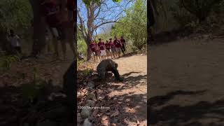 PULAU KOMODO, MANGGARAI - FLORES. 1.000 Tikungan Flores