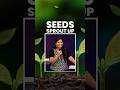 Seeds sprout up 