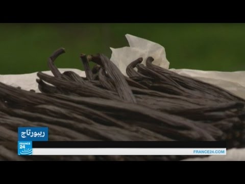 فيديو: لماذا قرون الفانيليا باهظة الثمن؟