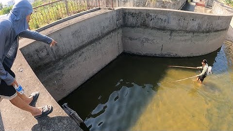 Kích Cá Trong Trạm Bơm Bắt Hàng Đàn Cá Lóc, Cá Rô Phi Sau Khi Máy Bơm Xả Nước