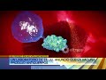Habría una vacuna para el Coronavirus que produce anticuerpos, así anunció un laboratorio de EEUU