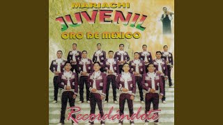 Video thumbnail of "Mariachi Juvenil Show de Mexico - Recordándote"