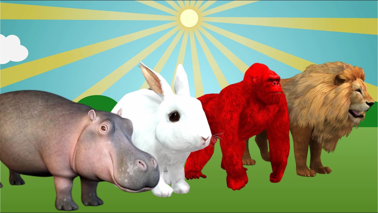 Paint animals cartoon with tiger gorilla cow cat rat new vidio