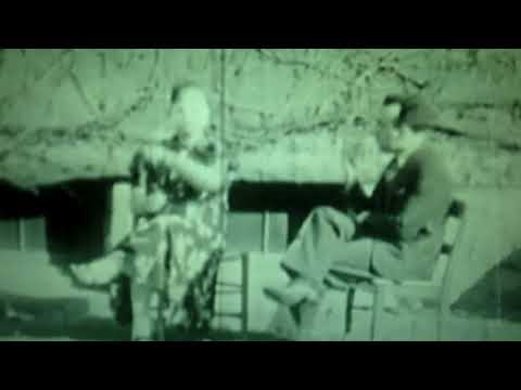 कॅटाटोनिया 1940: इकोप्रॅक्सिया