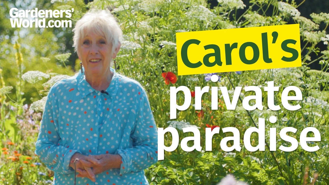 47 лет работы: Великолепный частный сад Кэрол Кляйн